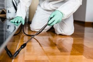 Pest Control Service